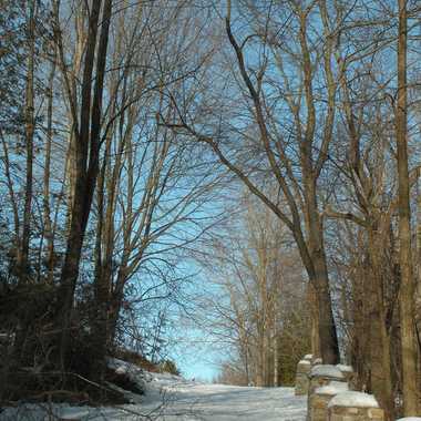 Photo: Alley to the Elora Gorge.
